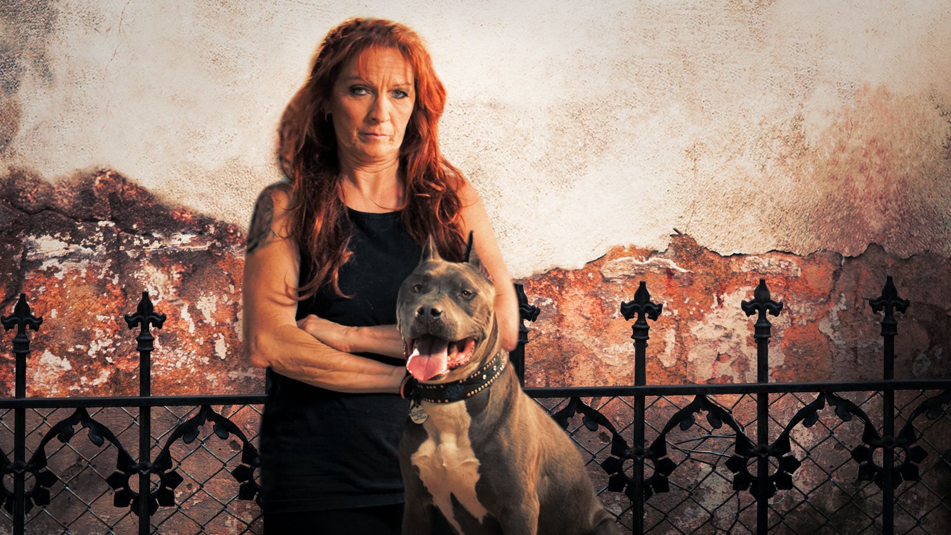 Season 8