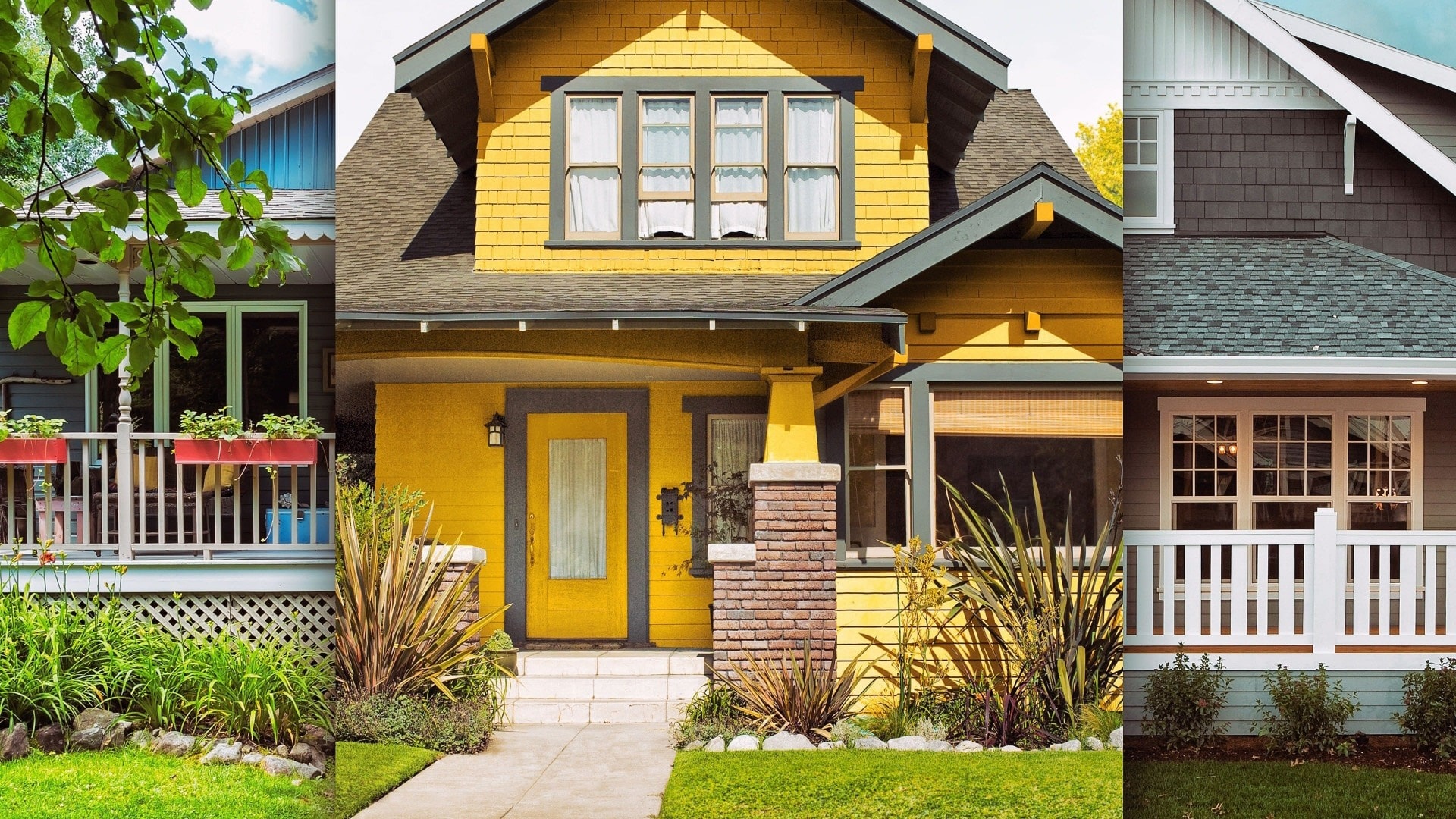 Season 245