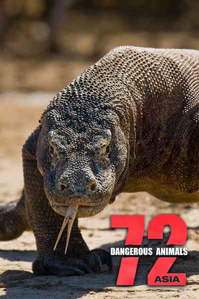 72 Dangerous Animals Asia - Season 1
