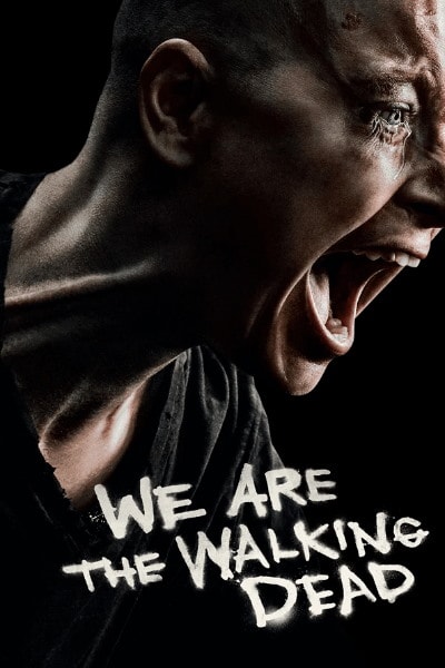 The Walking Dead Season 10 Watch Online Free On Gomovies